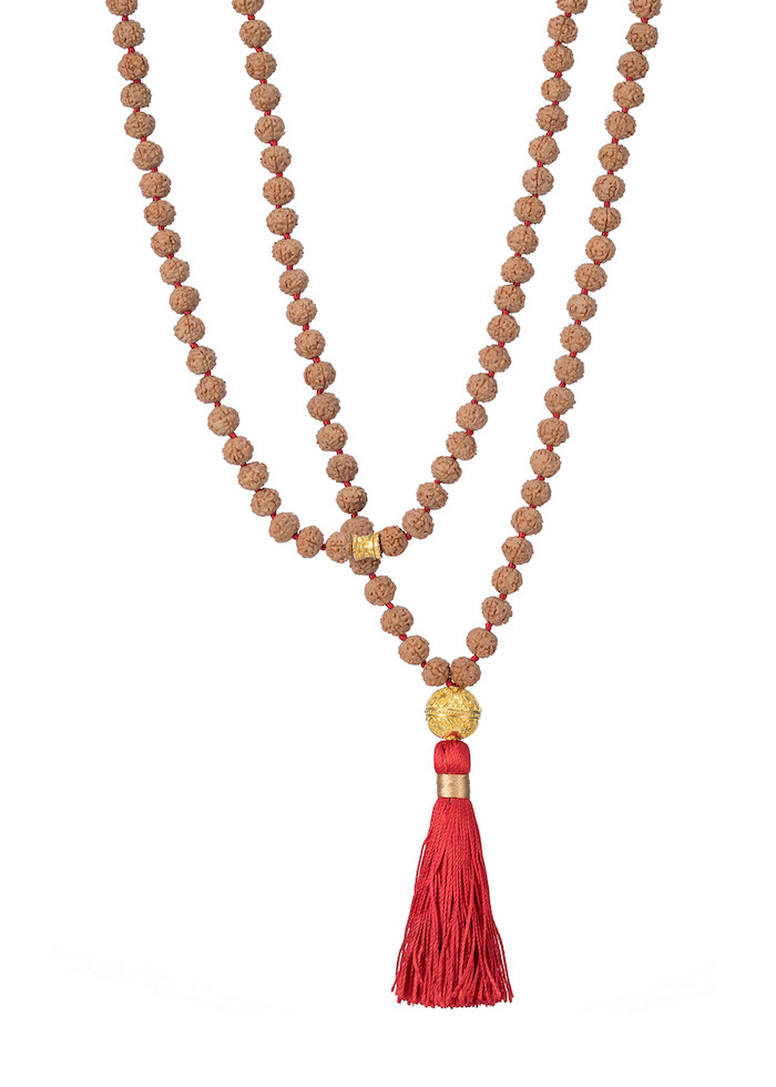 Sannyasi (ceremony)