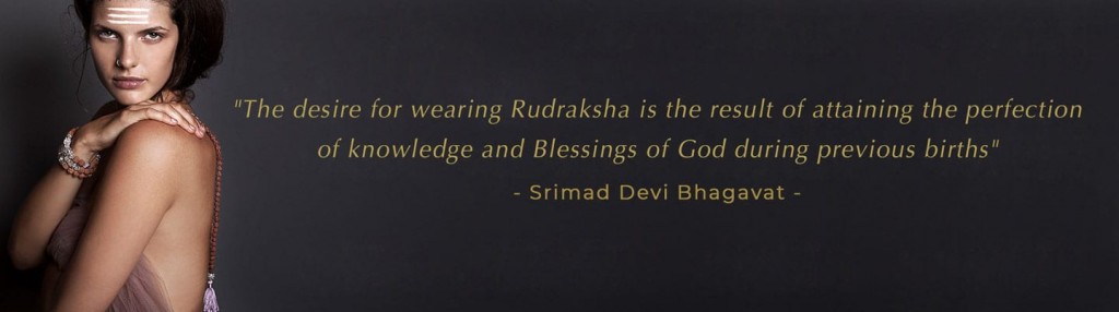 Mukhi Rudraksha