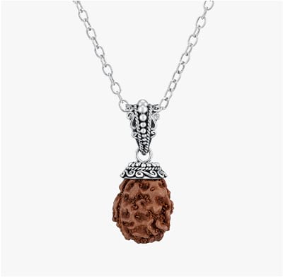 Mukhi Rudraksha