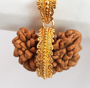 Mukhi Rudraksha blog