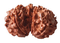 the Gaurishankara Power Mukhi