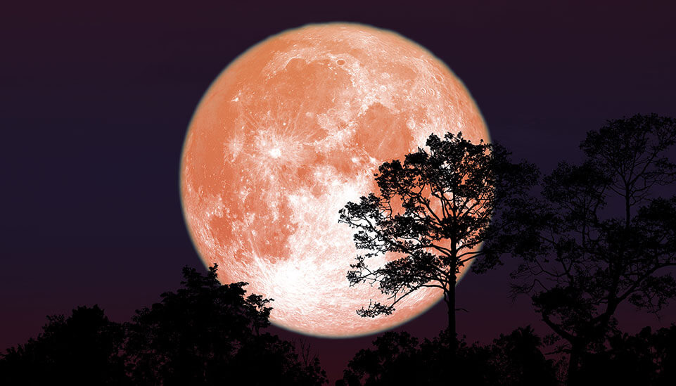 the Super Moon omshivaloka